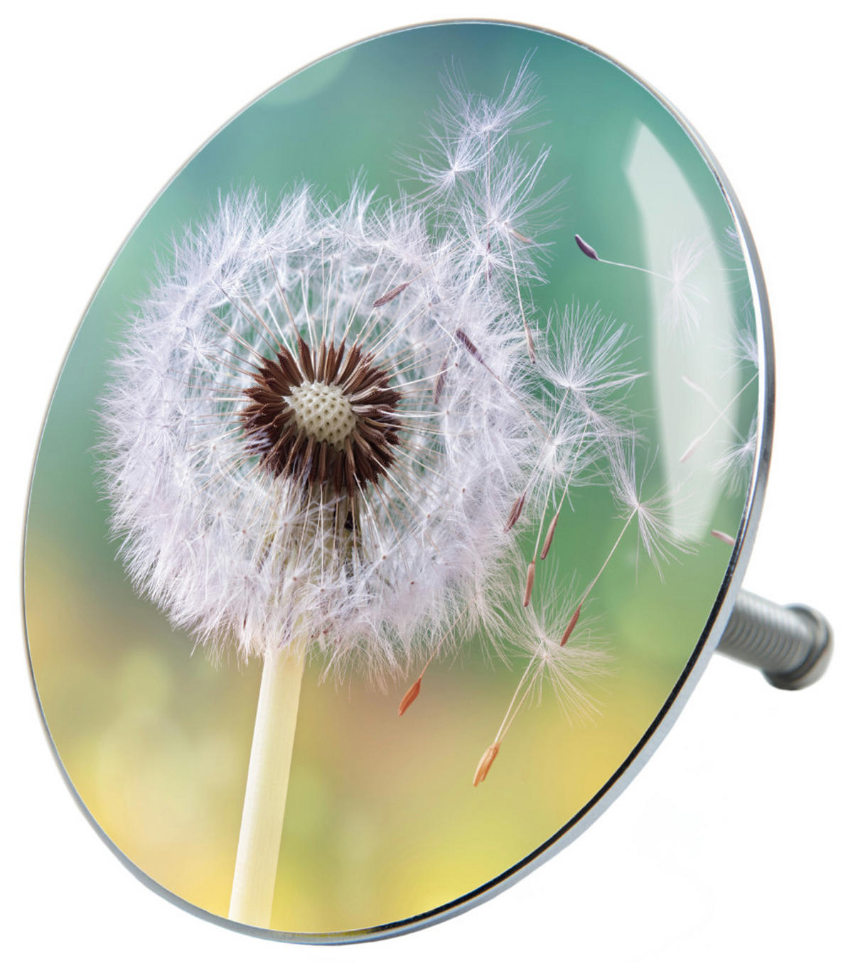 BADEWANNENSTÖPSEL Pusteblume - Türkis, Metall (8/10/10cm) - Sanilo