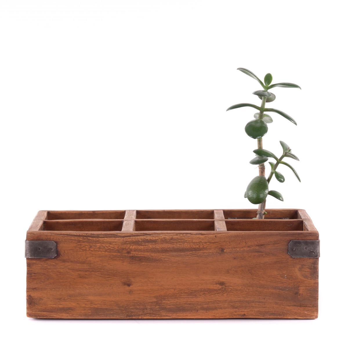 ORGANIZER Ordina Mahagoni Massivholz, 6 Fächer naturfarben - Naturfarben, Holz (22/33/10cm) - DESIGN DELIGHTS