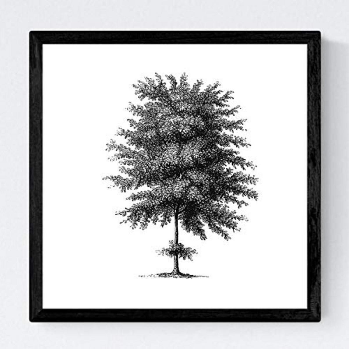 POSTER Set mit 4 Blättern der Baumstamm fein Jahrgang Hintergrund 20x20cm Schwarzer Rahmen - Schwarz, Papier (20/3cm) - Nacnic