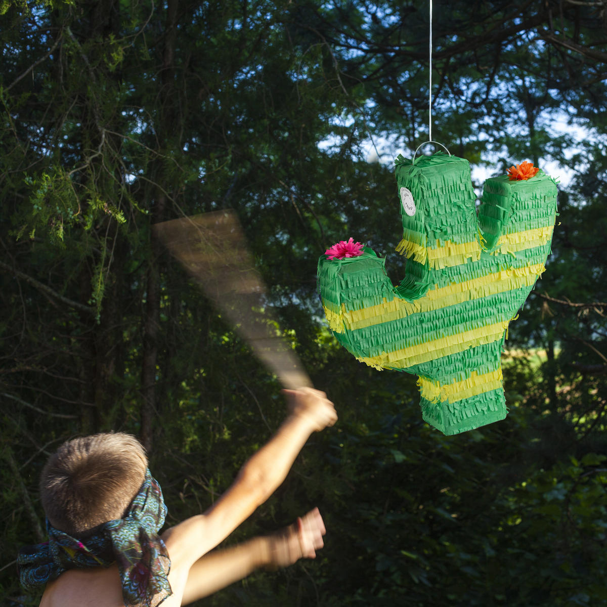 PINATA Kaktus - Multicolor, Papier (40/45/9cm) - Relaxdays