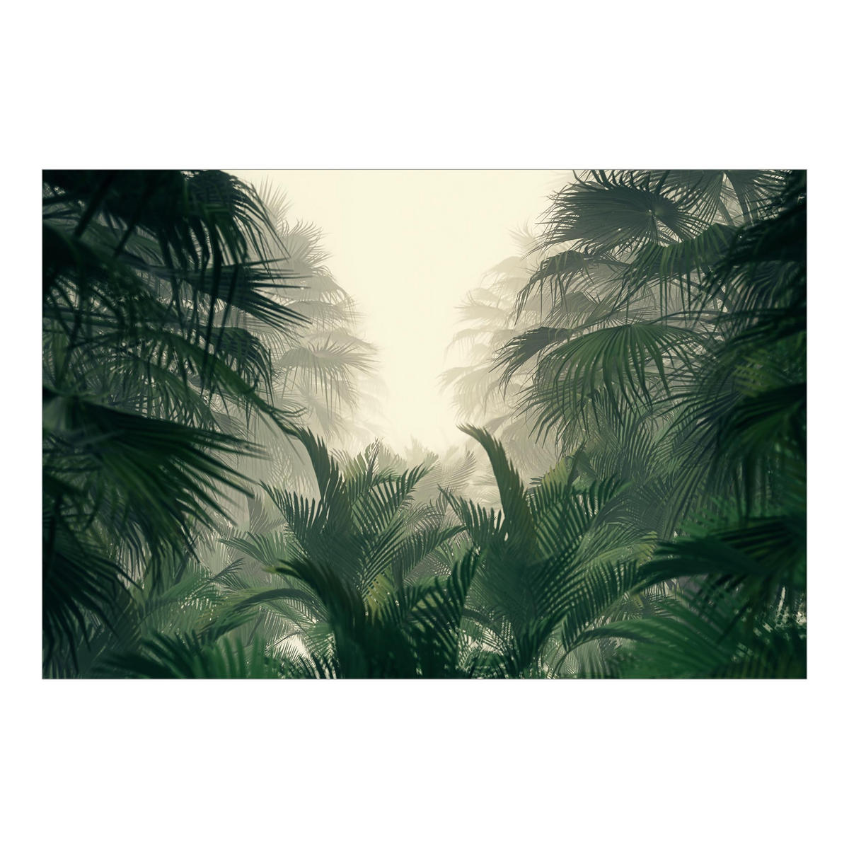 FOTOTAPETE Tropenpflanzen im Nebel 384/255 cm - Grün, Papier (384/255cm) - Bilderwelten
