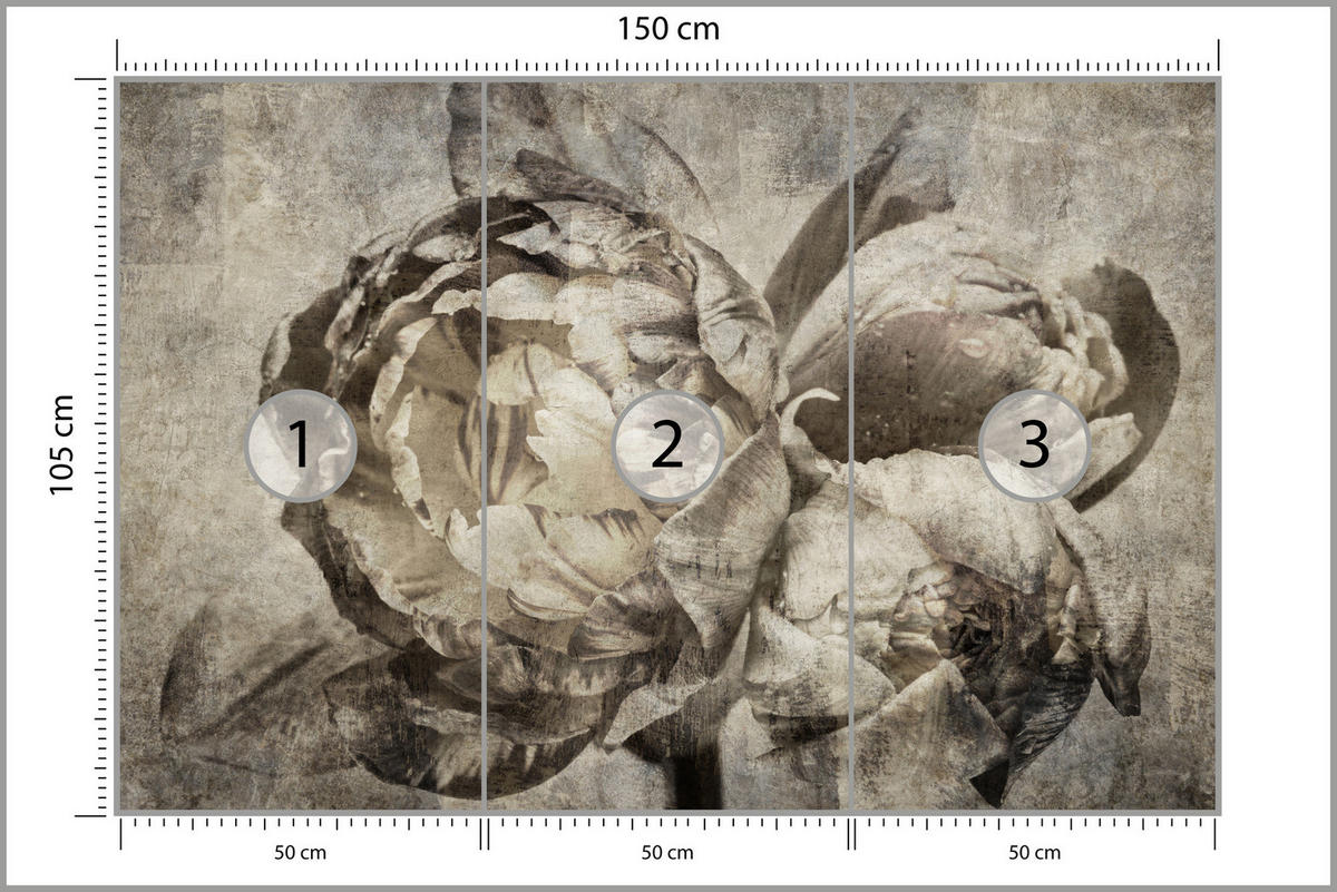 FOTOTAPETE Pfingstrosen Blumen Beton Vintage 150x105 - Beige/Braun, Papier (150/105cm) - Muralo