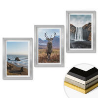 WANDBILDER 3er Set - 20x30 cm Silberner Rahmen - Berglandschaften mit einem Wasserfall - Silberfarben, Kunststoff (20/30cm) - ArtPrintCave