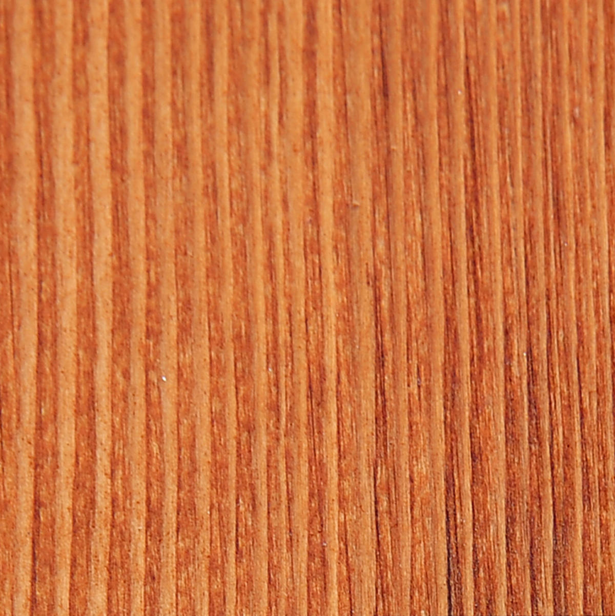HOLLYWOODSCHAUKEL 162/130/185 cm mit Sonnendach und Lärchenholzgestell, Natur - Beige, Holz (130/185/162cm) - Redom