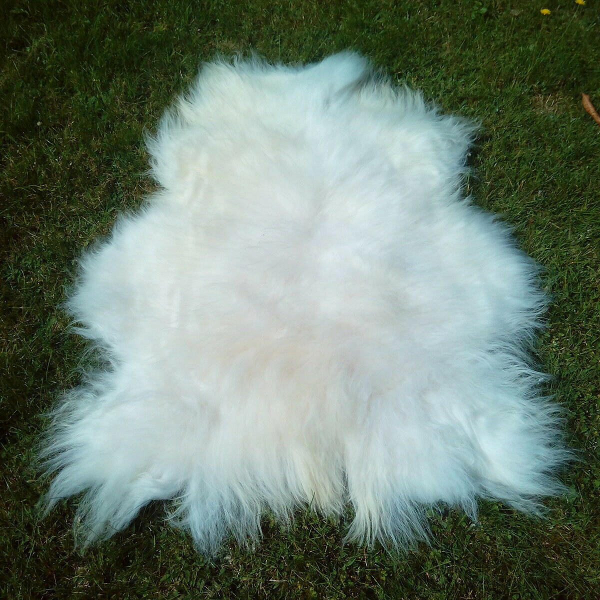 SCHAFFELL Island Naturweiß, Lange Zottelige Wolle, ca. 120 cm - Weiß, Fell (70/120cm) - Provellus