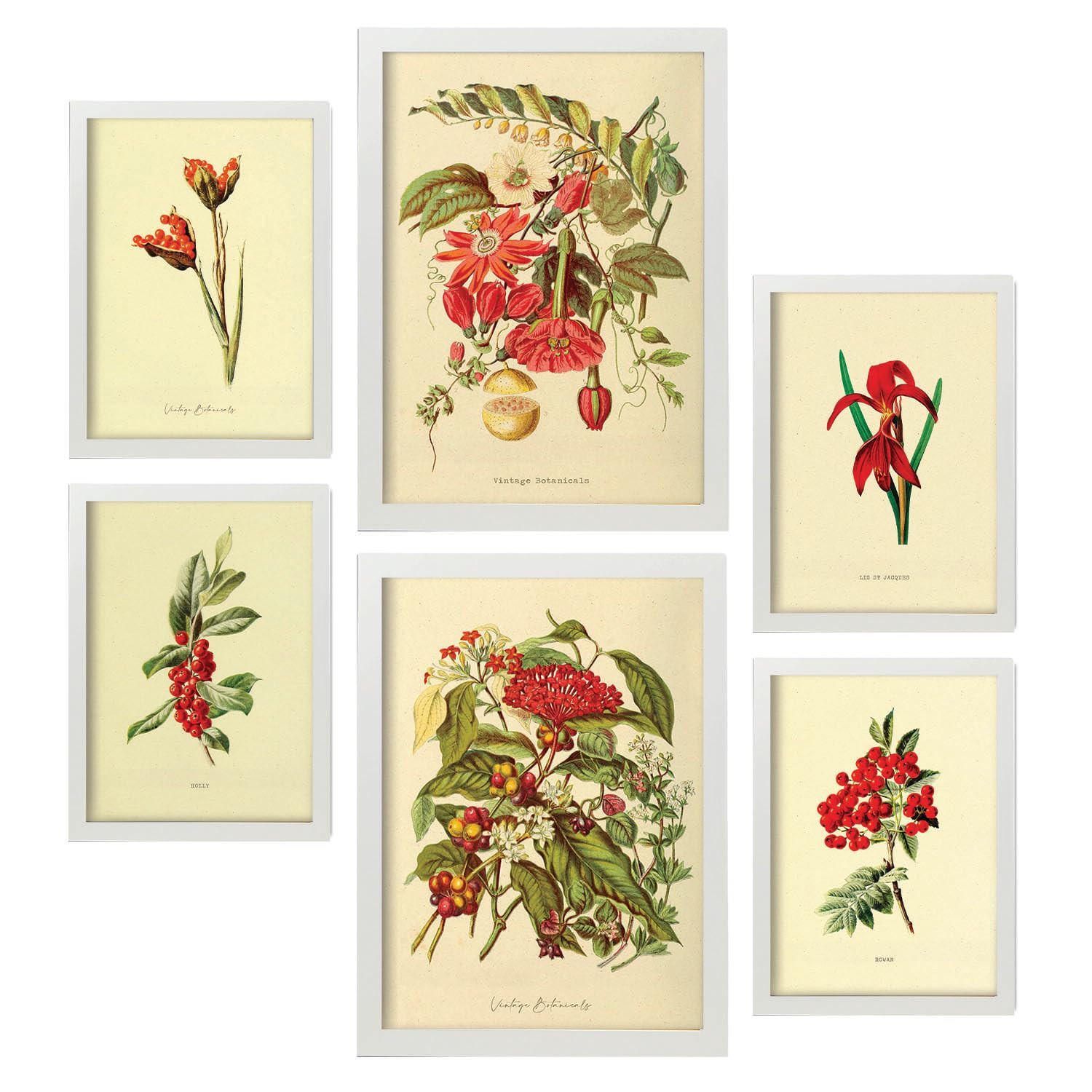 POSTER Set Mit 6 Rote Blumen In Vintage A3 & A4 Weißer Rahmen - Weiß, Papier (29/3cm) - Nacnic