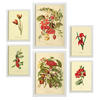 POSTER Set Mit 6 Rote Blumen In Vintage A3 & A4 Weißer Rahmen - Weiß, Papier (29/3cm) - Nacnic