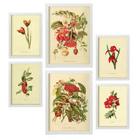 POSTER Set Mit 6 Rote Blumen In Vintage A3 & A4 Weißer Rahmen - Weiß, Papier (29/3cm) - Nacnic