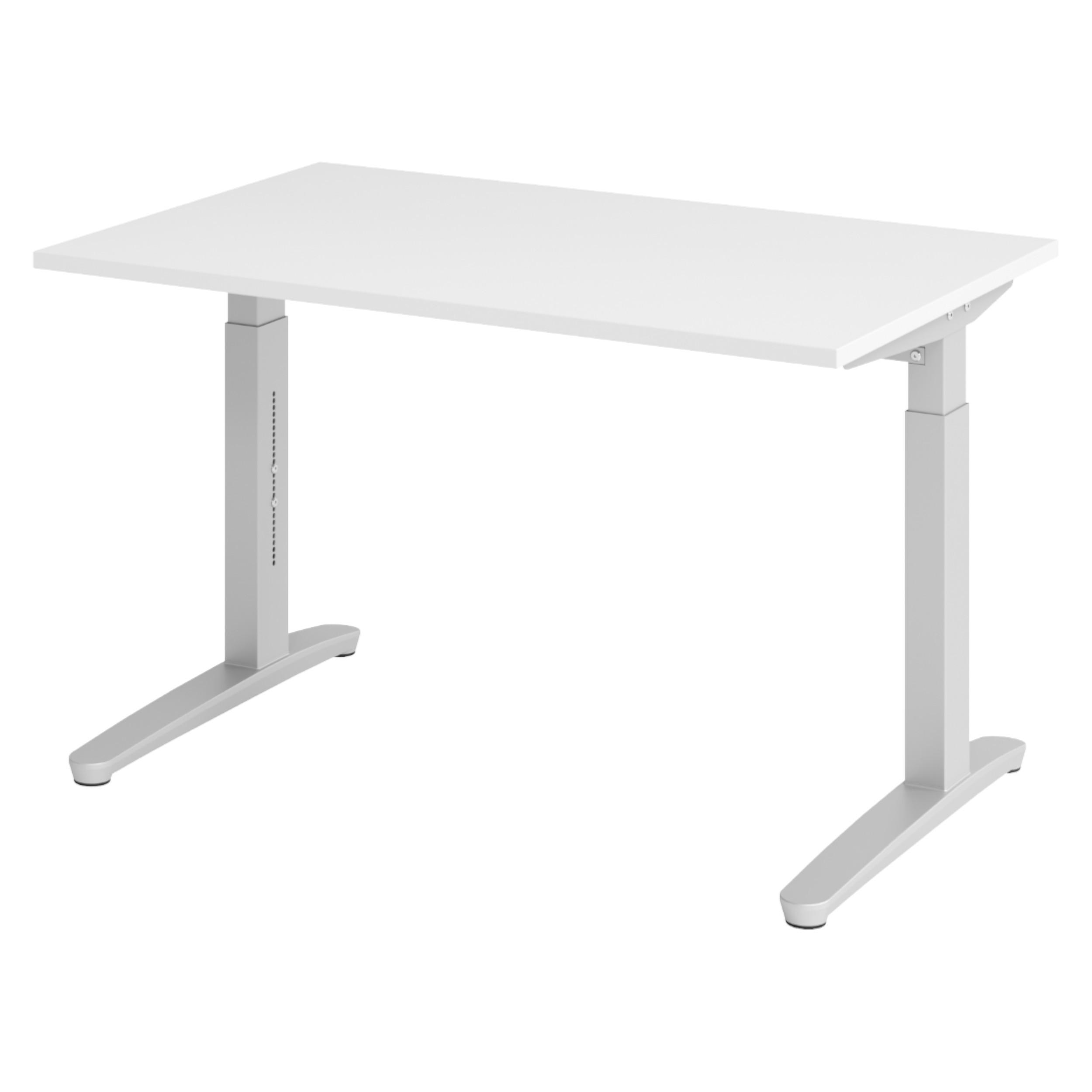 SCHREIBTISCH Serie-XB 80/120/74 cm in Weiß/Silberfarben - Silberfarben/Weiß, Holzwerkstoff (80/120/74cm) - bümö