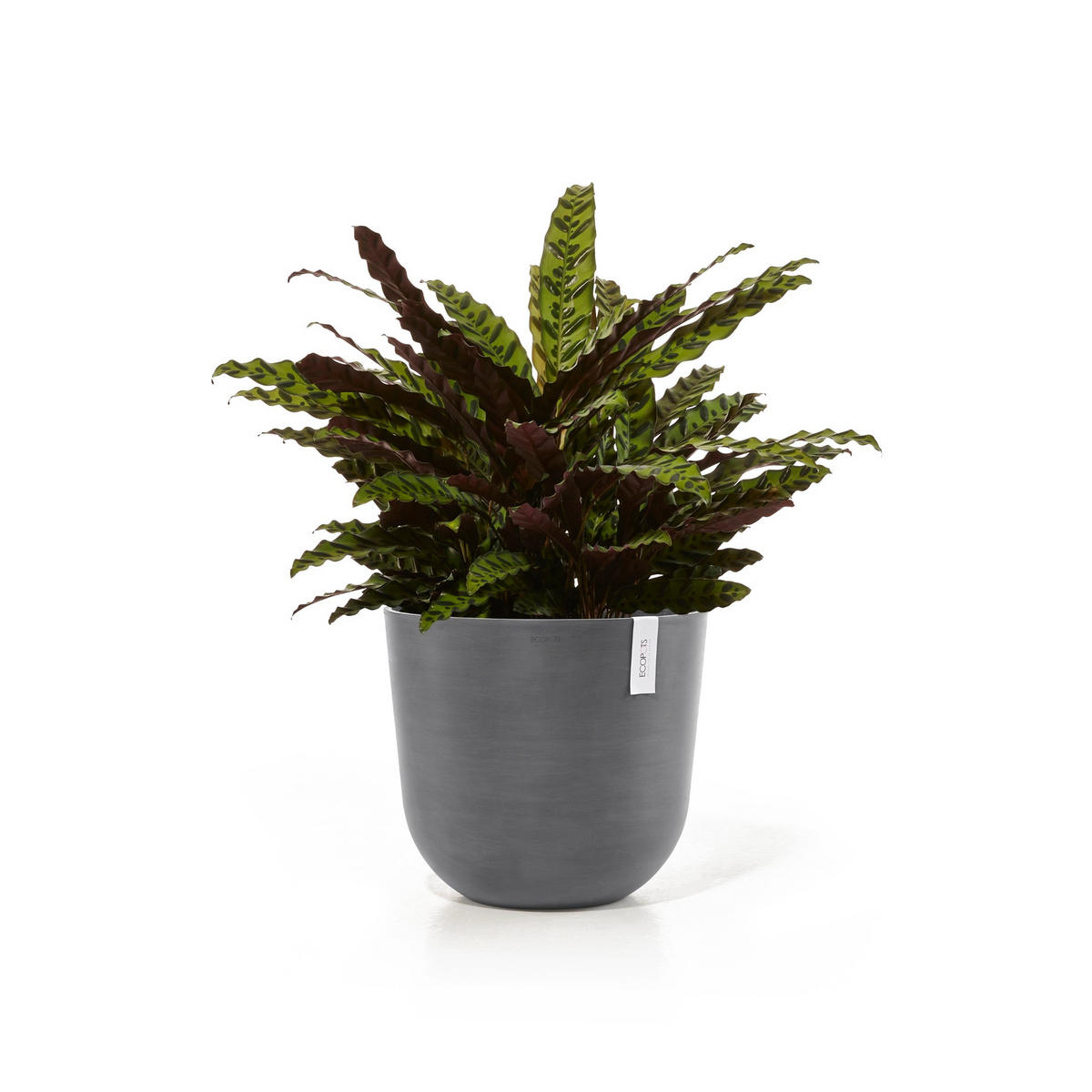 BLUMENTOPF Oslo 45/39,4 cm Grau - Grau, Kunststoff (45/39.4cm) - Ecopots