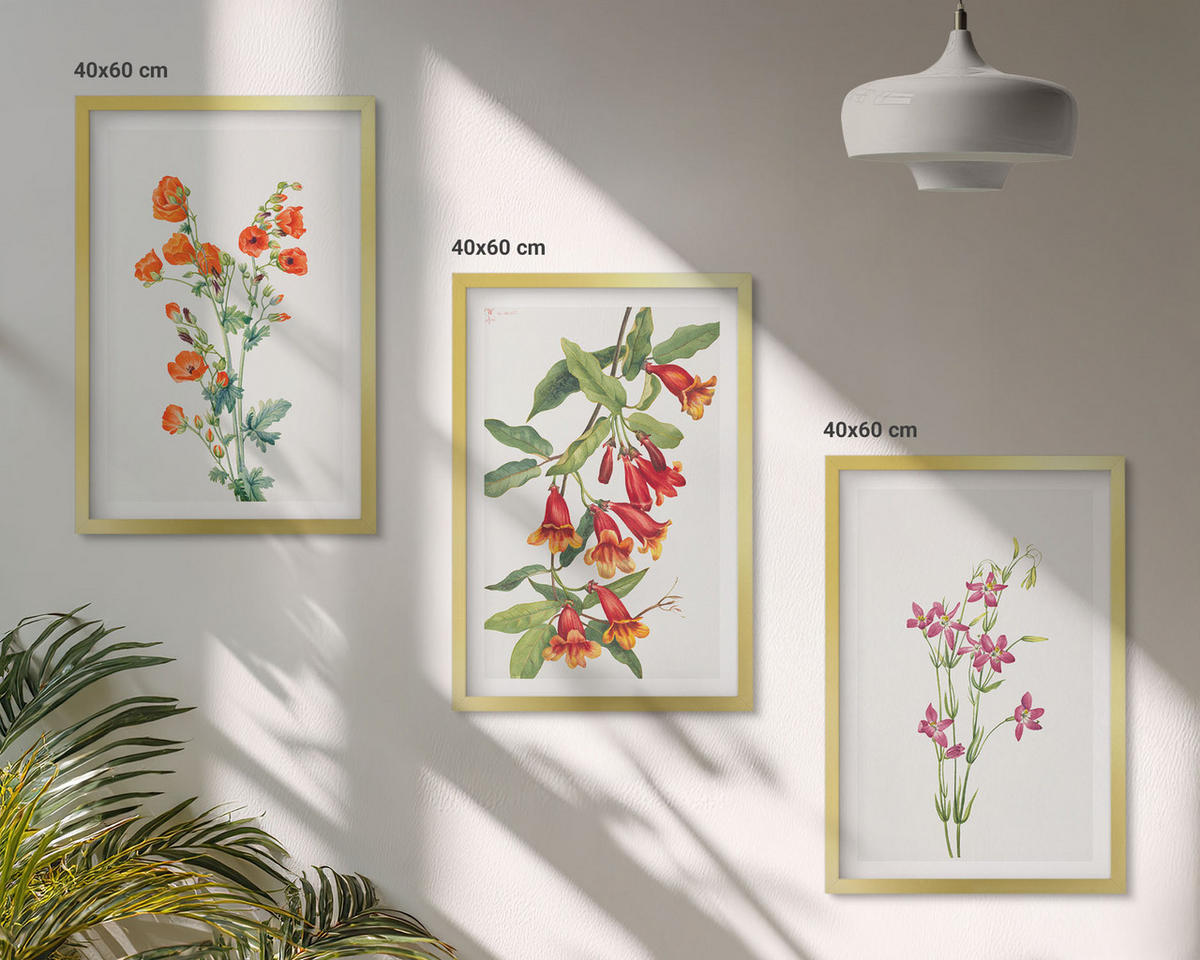 BILDER SET 3er Set - 40x60 cm Goldrahmen - Vintage-Retro-Blumenmalerei - Goldfarben, Kunststoff (40/60cm) - TULUP