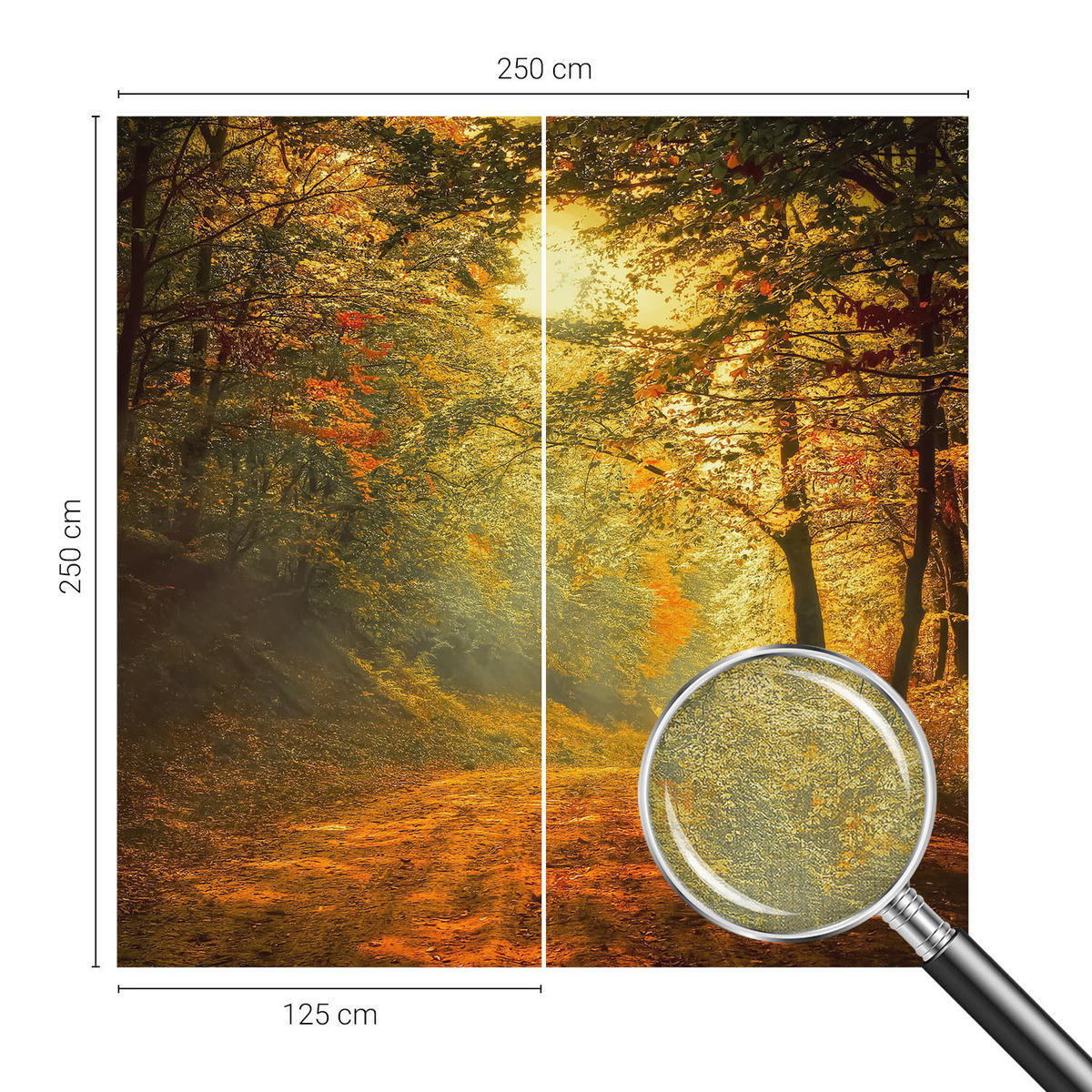 FOTOTAPETE 250x250 cm - Herbstlandschaft - Gelb, Textil (250/250cm) - Wallfluent