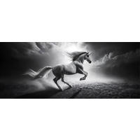 GLASBILD 125x50 cm Einhorn schwarz weiß - Weiß, Glas (125/50cm) - artissimo