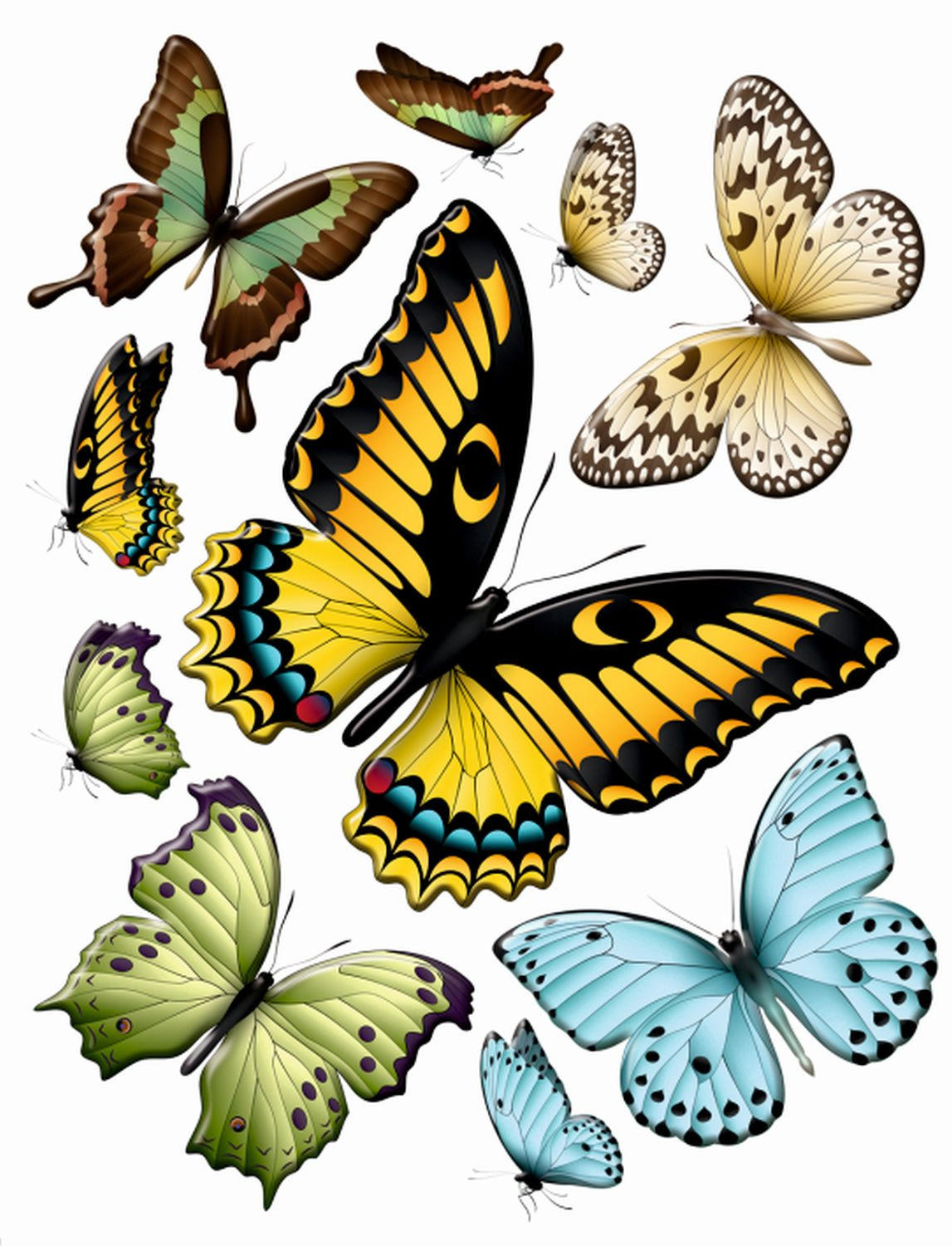 WANDTATTOO Schmetterlinge 85 x 65 cm - Multicolor, Papier (85/65/65cm) - Sanders & Sanders
