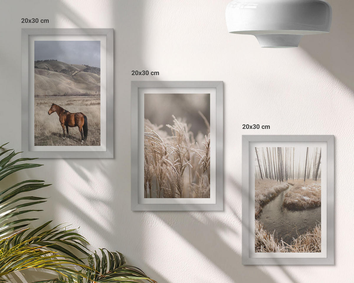 BILDER SET 3er Set - 20x30 cm Silberner Rahmen - Pferde, Landschaft, Gras, Bach - Silberfarben, Kunststoff (20/30cm) - TULUP