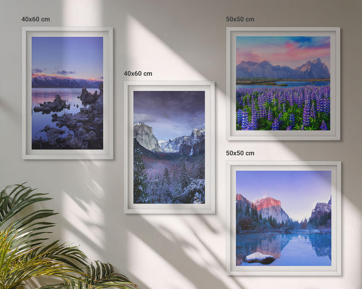 BILDER SET 4er Set - 50x50 cm & 40x60 cm Weißer Rahmen - Berglandschaften, Wasser, Blumenfeld - Weiß, Kunststoff (50/50cm) - TULUP