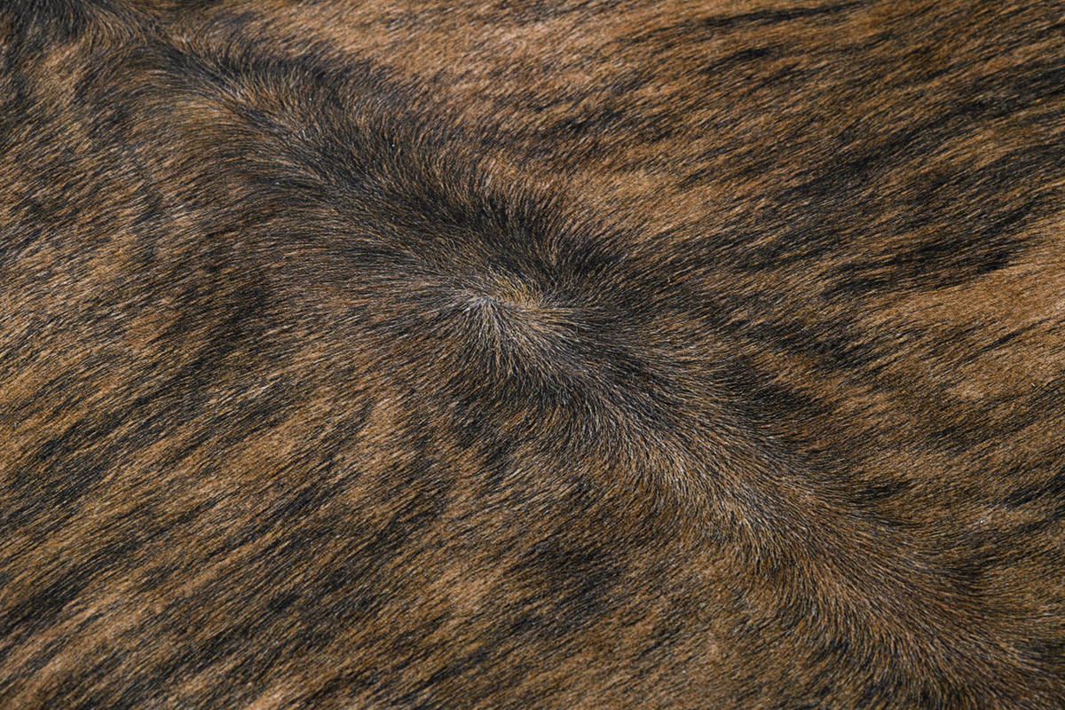 TEPPICH Künstliches Rindsleder 100/150 cm - Braun, Textil (100/150cm) - rugsX