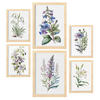 POSTER Set Mit 6 Lilien Vollfarbige Natur Und Botanikdrucke Mit Blumenmotiven Auf Reinweißen Hintergründen A3 & A4 Rahmen Aus Hellem Holz - Beige, Papier (29/3cm) - Nacnic