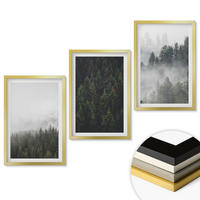 WANDBILDER 3er Set - 40x60 cm Goldrahmen - Grüne Wälder Nebel Natur - Goldfarben, Kunststoff (40/60cm) - ArtPrintCave