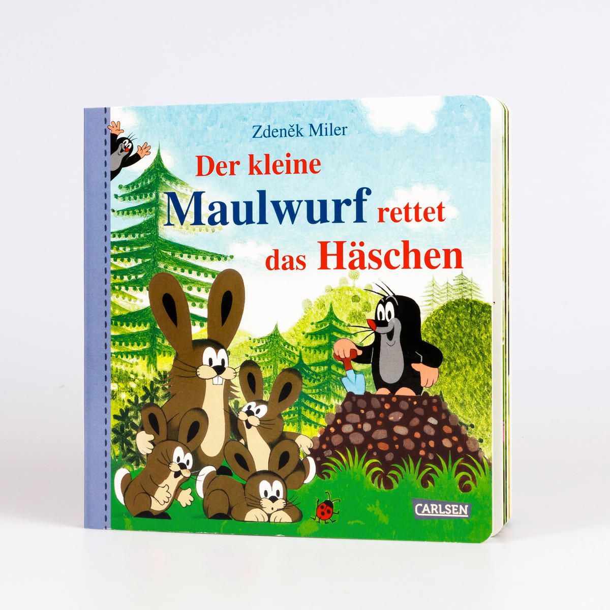 BUCH - Multicolor, Basics, Papier (19,8/19,8/1,6cm)