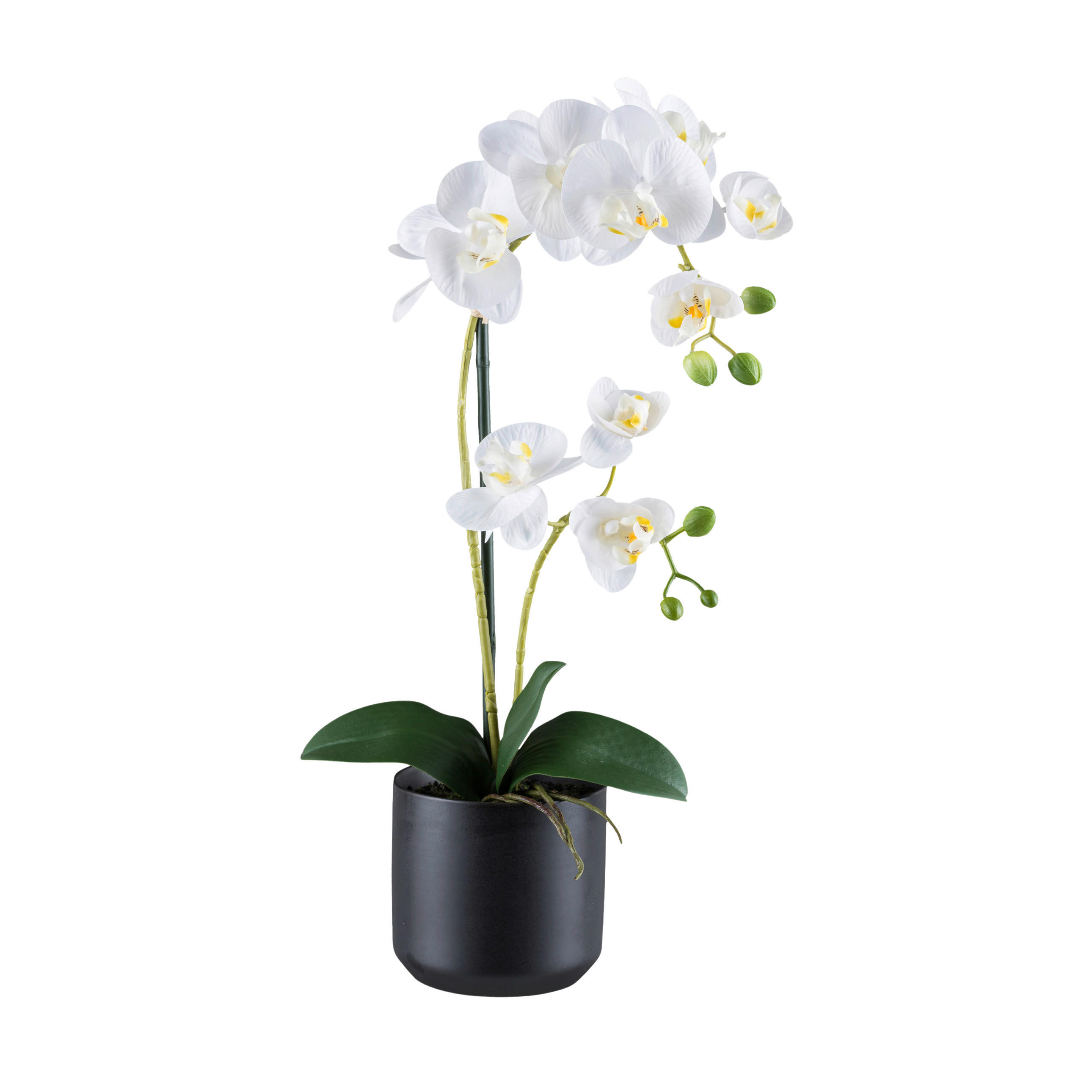 KUNSTPFLANZE Orchidee 50 cm  - Schwarz/Weiß, Design, Keramik/Kunststoff (50cm) - P & B