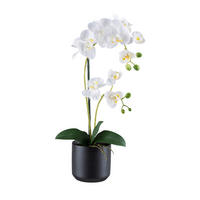 KUNSTPFLANZE Orchidee 50 cm  - Schwarz/Weiß, Design, Keramik/Kunststoff (50cm) - P & B