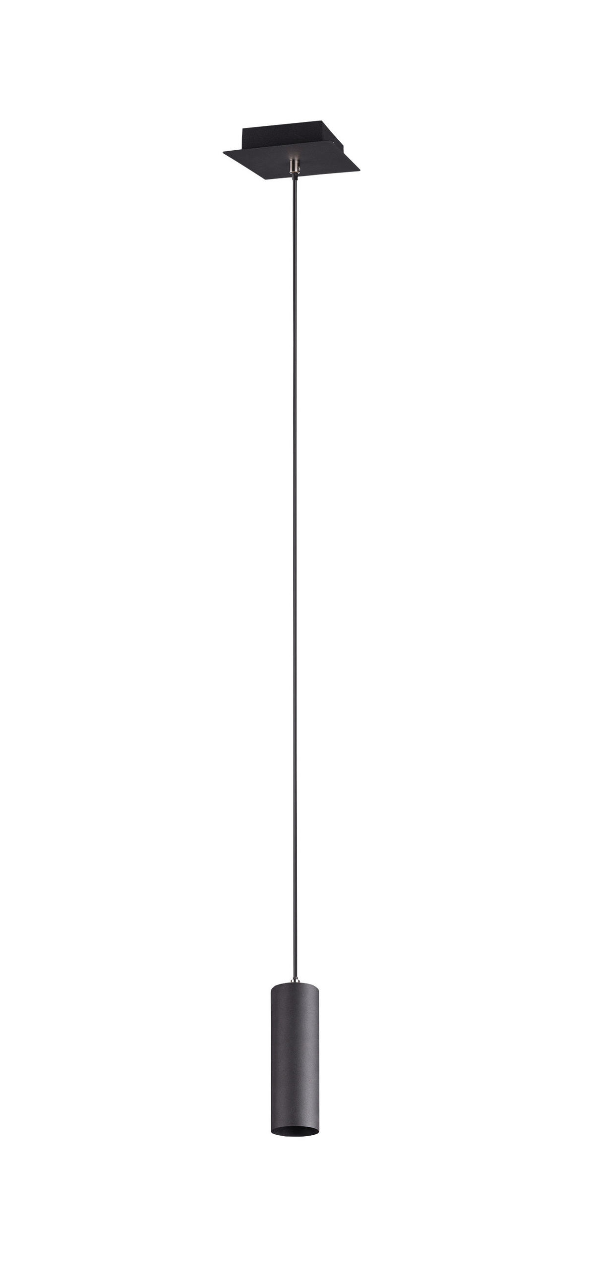 ZÁVESNÉ SVIETIDLO,  12/150/12 cm - čierna, Basics, kov (12/150/12cm)