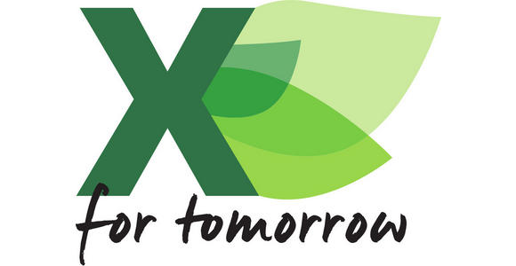 KUNSTFELL 60/90 cm Creme  - Creme, KONVENTIONELL, Textil (60/90cm) - Boxxx