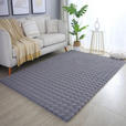 HOCHFLORTEPPICH 200/290 cm AMBIANCE Grau  - Grau, Basics, Textil (200/290cm) - Novel