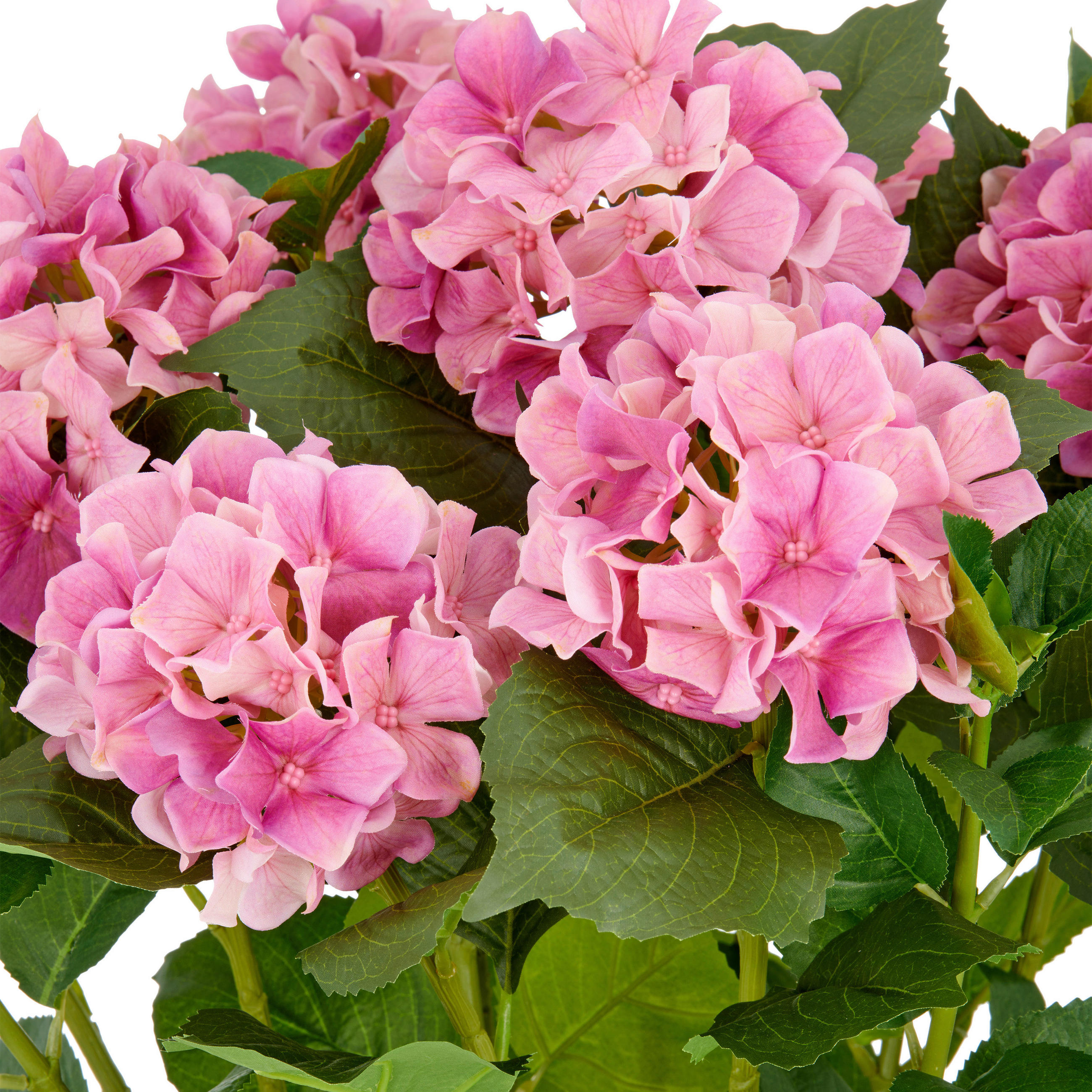KUNSTPFLANZE Hortensie  - Pink/Creme, Basics, Kunststoff (27/77/27cm)