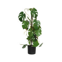 PLANTĂ ARTIFICIALĂ - Basics (31,00/20,00/63,50cm)