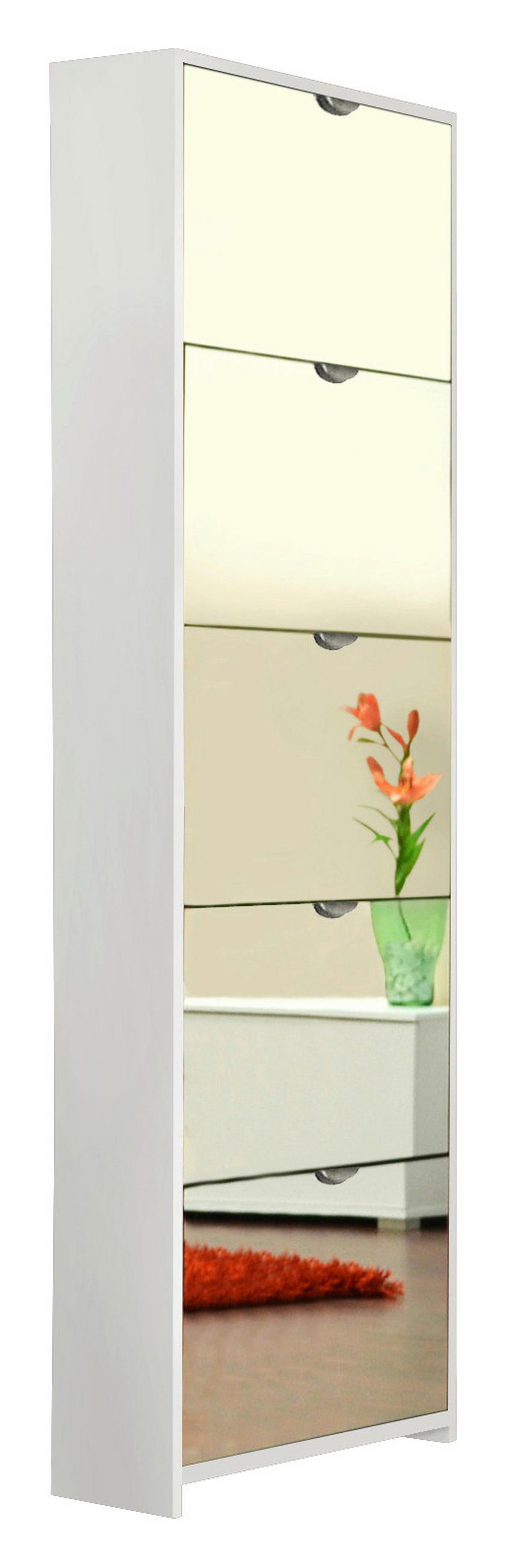 OMARA Z LOPUTAMI ZA ČEVLJE bela - bela, Design, steklo/leseni material (58/177/17cm) - Xora