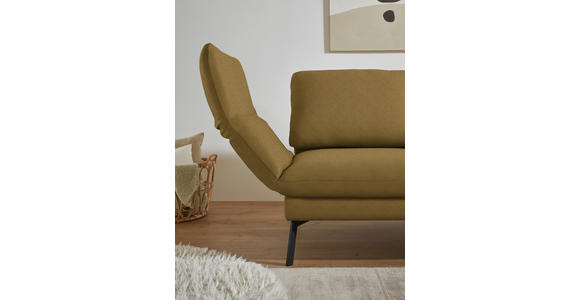 ECKSOFA  in Flachgewebe Schilfgrün  255-365/175-224 cm  - Schilfgrün/Schwarz, Design, Textil/Metall (255-365/175-224cm) - Dieter Knoll