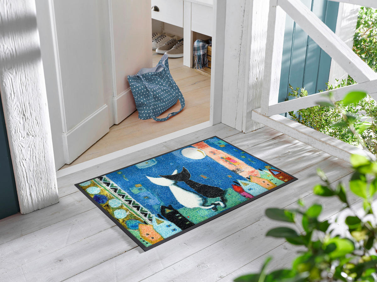 DVEŘNÍ ROHOŽKA, 50/75 cm, vícebarevná - vícebarevná, Trend, textil/plast (50/75cm) - Esposa