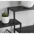 WANDREGAL Schwarz  - Schwarz, Trend, Metall (60/52/13cm) - Landscape