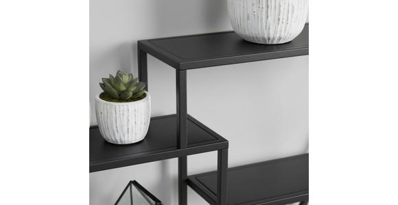 WANDREGAL Schwarz  - Schwarz, Trend, Metall (60/52/13cm) - Landscape