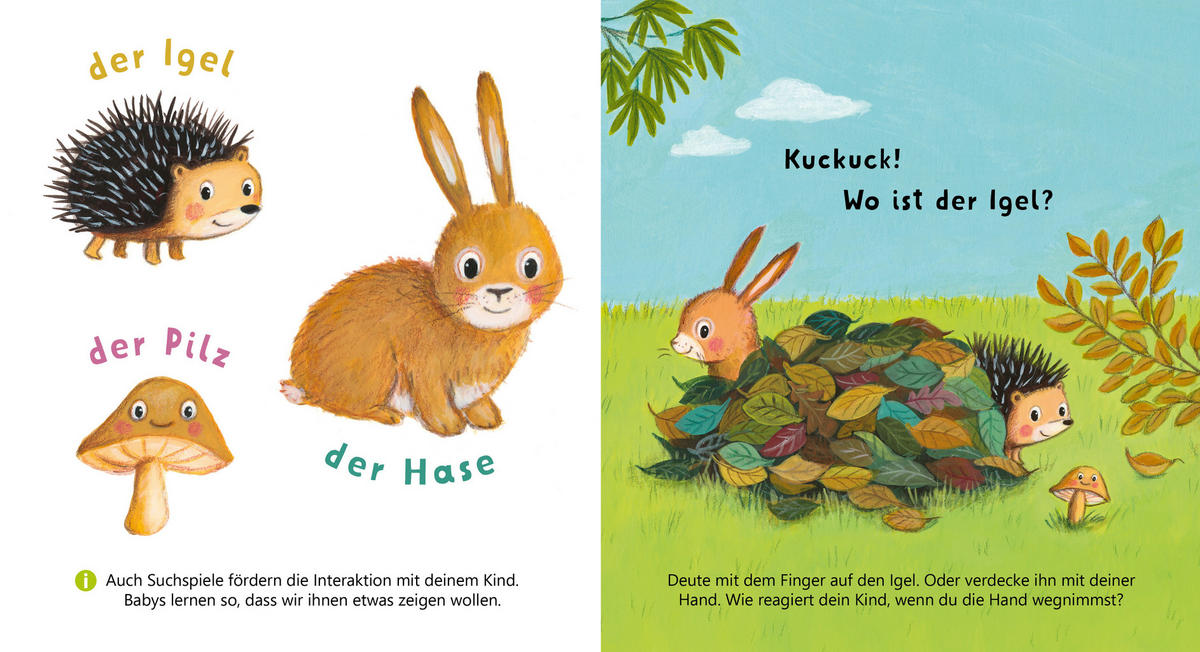 BUCH - Multicolor, Basics, Papier (14/14/1,8cm) - Carlsen