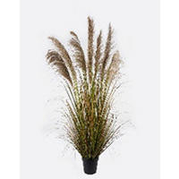 MŰNÖVÉNY - fekete/világosbarna, Basics, műanyag