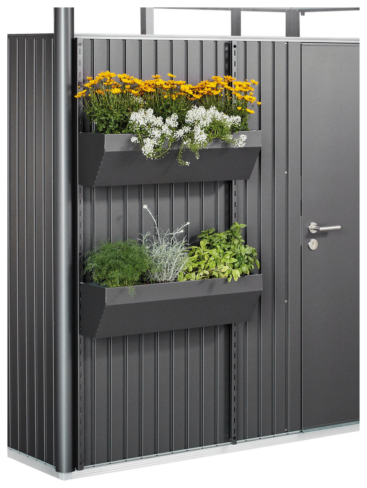 BLUMENKASTEN  - Dunkelgrau, Design, Kunststoff/Metall (82/188/25cm) - Biohort