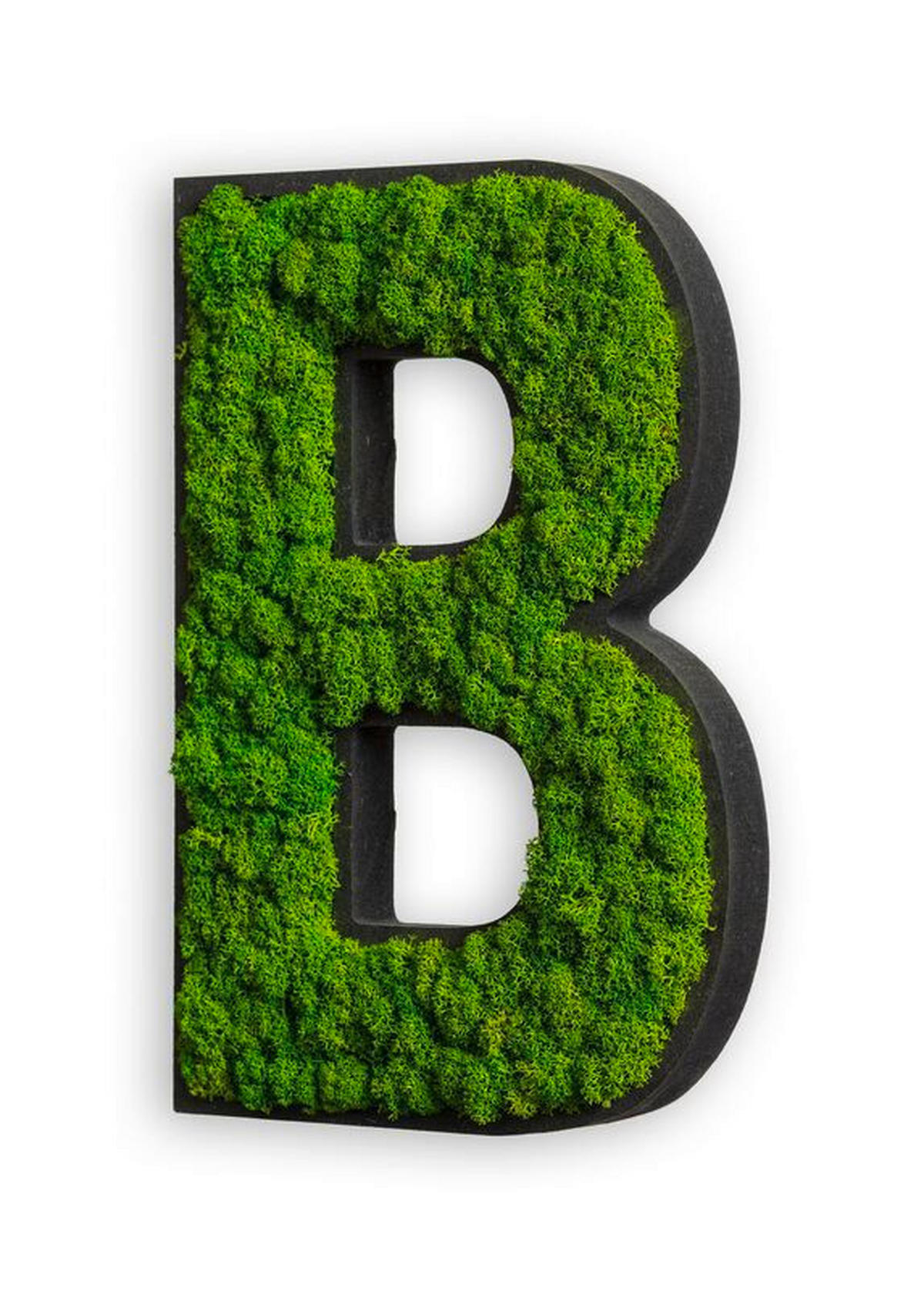 MOOSBILD Stylegreen  - Schwarz/Grün, Basics, Naturmaterialien/Holz (25/18/4cm)