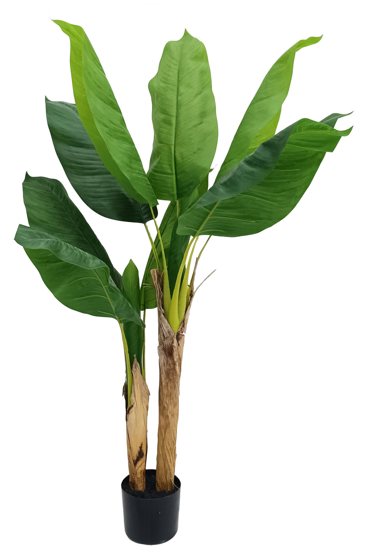 KUNSTPFLANZE Bananenpflanze 120 cm  - Basics (120cm) - Ambia Home