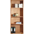 AKTENREGAL Kernbuche massiv Kernbuche  - Buchefarben/Kernbuche, Design, Holz (73/189/38cm) - Carryhome