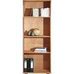 AKTENREGAL Kernbuche massiv Kernbuche  - Buchefarben/Kernbuche, Design, Holz (73/189/38cm) - Carryhome