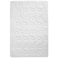 LEHKÁ PŘIKRÝVKA, 135/200 cm, bavlněná výplň, konopí - Basics, textil (135/200cm) - Billerbeck