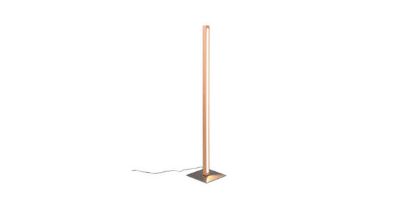 LED-STEHLEUCHTE 22/115 cm - Eichefarben, LIFESTYLE, Holz/Kunststoff (22/115cm) - Novel