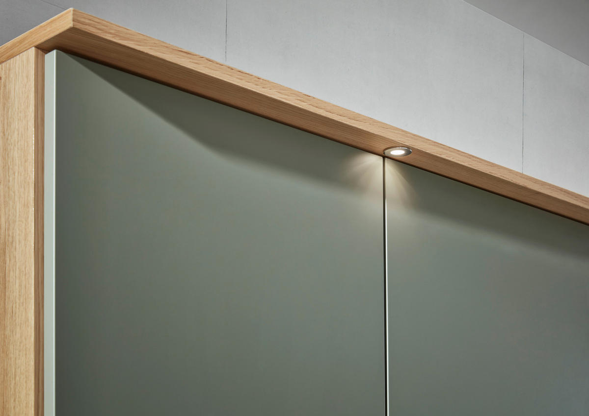 DREHTÜRENSCHRANK in Eichefarben, Olivgrün  - Eichefarben/Anthrazit, Design, Holz/Holzwerkstoff (300/229/60cm) - Dieter Knoll