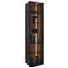 VITRINE Anthrazit  45,8/198,6/40 cm  - Anthrazit/Schwarz, Design, Glas/Holz (45,8/198,6/40cm) - Dieter Knoll