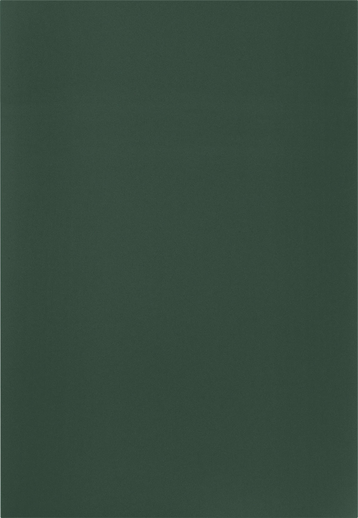 KÜCHENSCHRANKFRONT 60/72/1,9 cm  in Grün  - Schwarz/Grün, MODERN, Holzwerkstoff/Metall (60/72/1,9cm) - Nobilia
