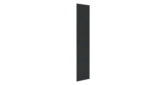 TÜR 45,4/202,6/1,8 cm Anthrazit - Anthrazit, KONVENTIONELL, Holzwerkstoff (45,4/202,6/1,8cm) - Hom`in