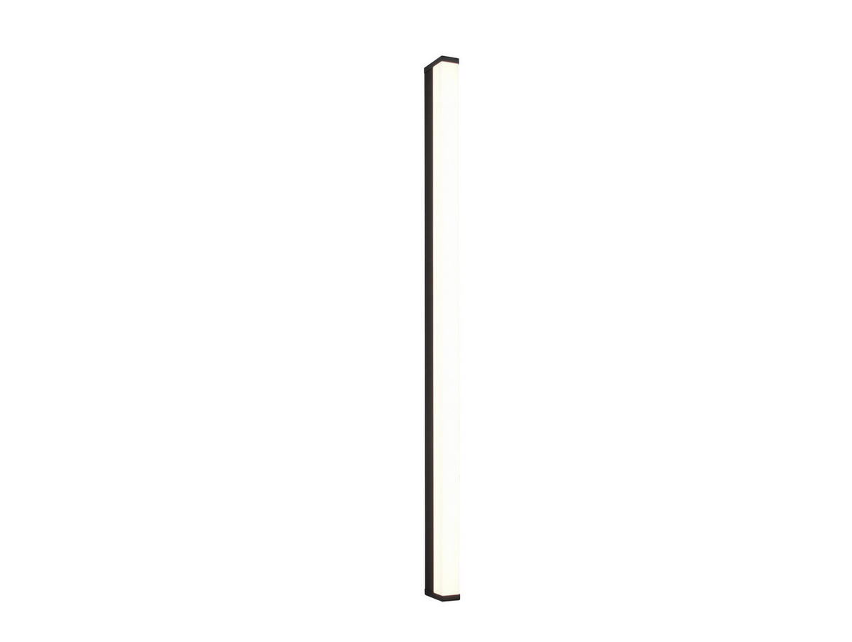 BADEZIMMER-WANDLEUCHTE - Weiss/Schwarz, Basics, Kunststoff/Metall (120/3,8/7,9cm) - Trio Leuchten
